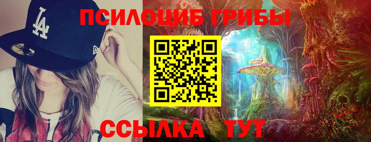 Галлюциногенные грибы Cubensis Ленинск-Кузнецкий